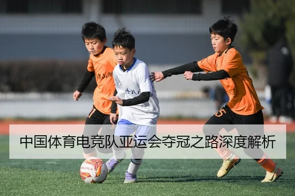 中国体育电竞队亚运会夺冠之路深度解析